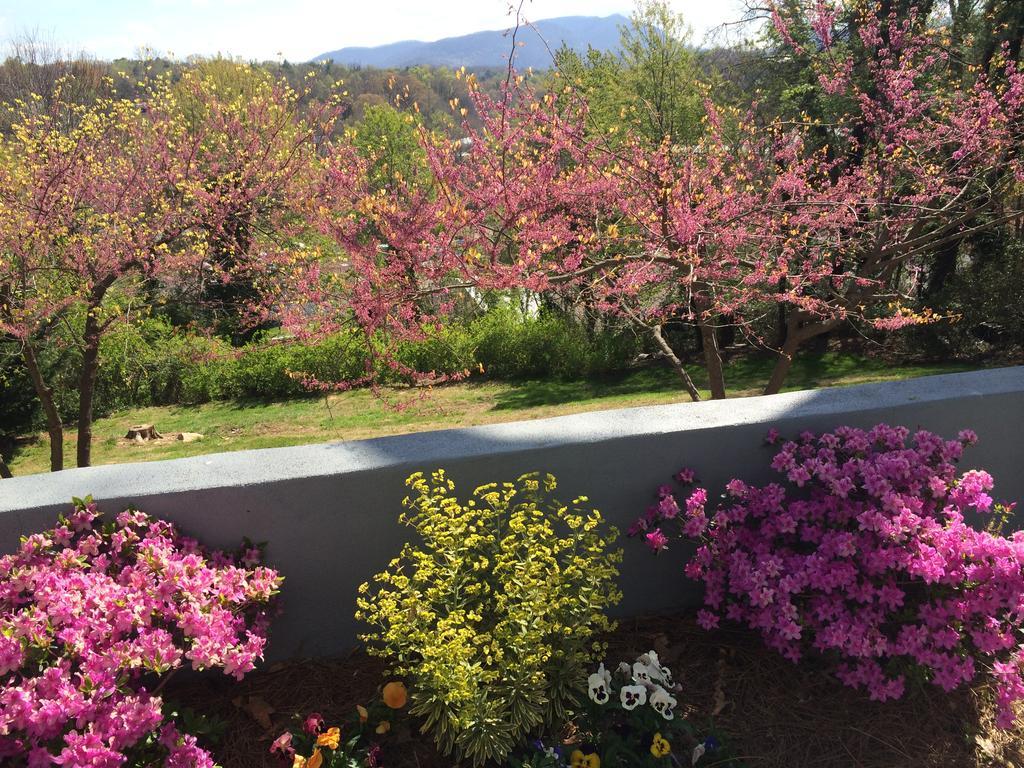 Biltmore Village Inn B&B Asheville Exterior foto